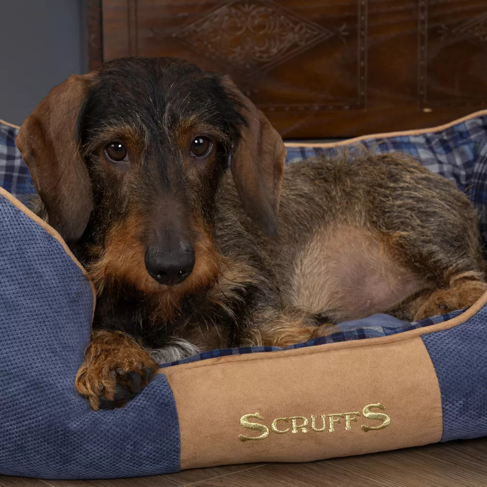 Highland Box Dog Bed (in Blue or Red) by Scruffs-7