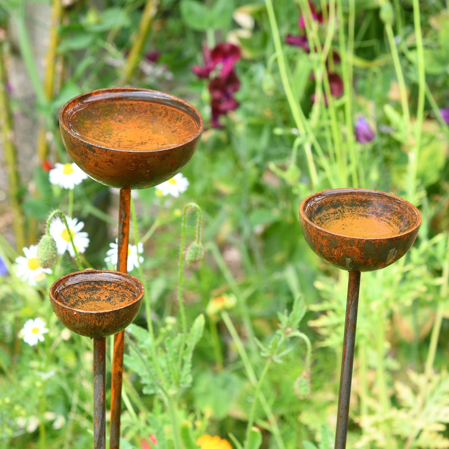 Three rustic metal garden stakes with shallow bowl tops, styled as birdbaths and plant supports, standing in a grassy lawn with soft floral surroundings.