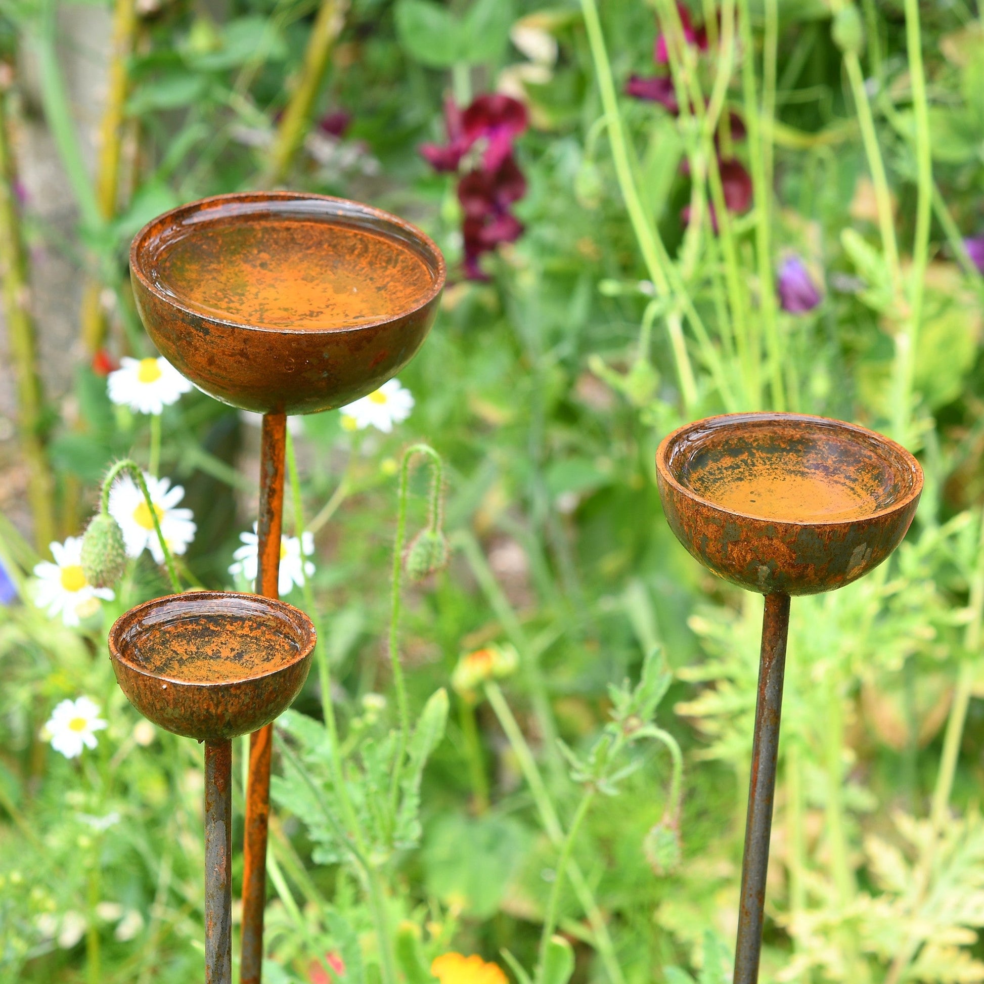 Three rustic metal garden stakes with shallow bowl tops, styled as birdbaths and plant supports, standing in a grassy lawn with soft floral surroundings.
