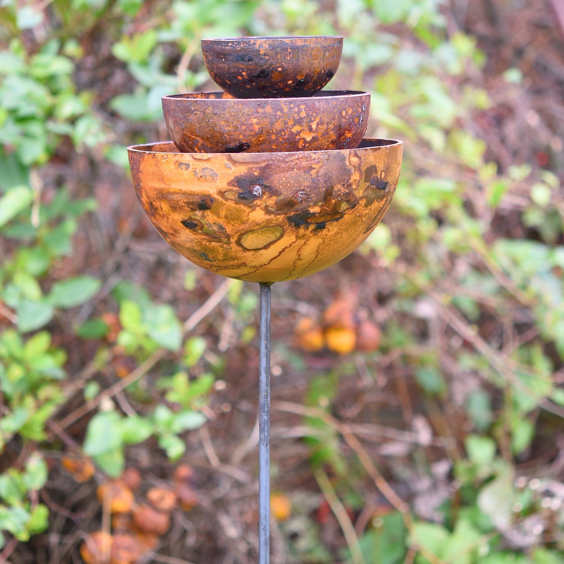 Rusted steel rain catcher fountain with sculptural tiered bowls, placed in UK garden as bird feeder and climbing plant support