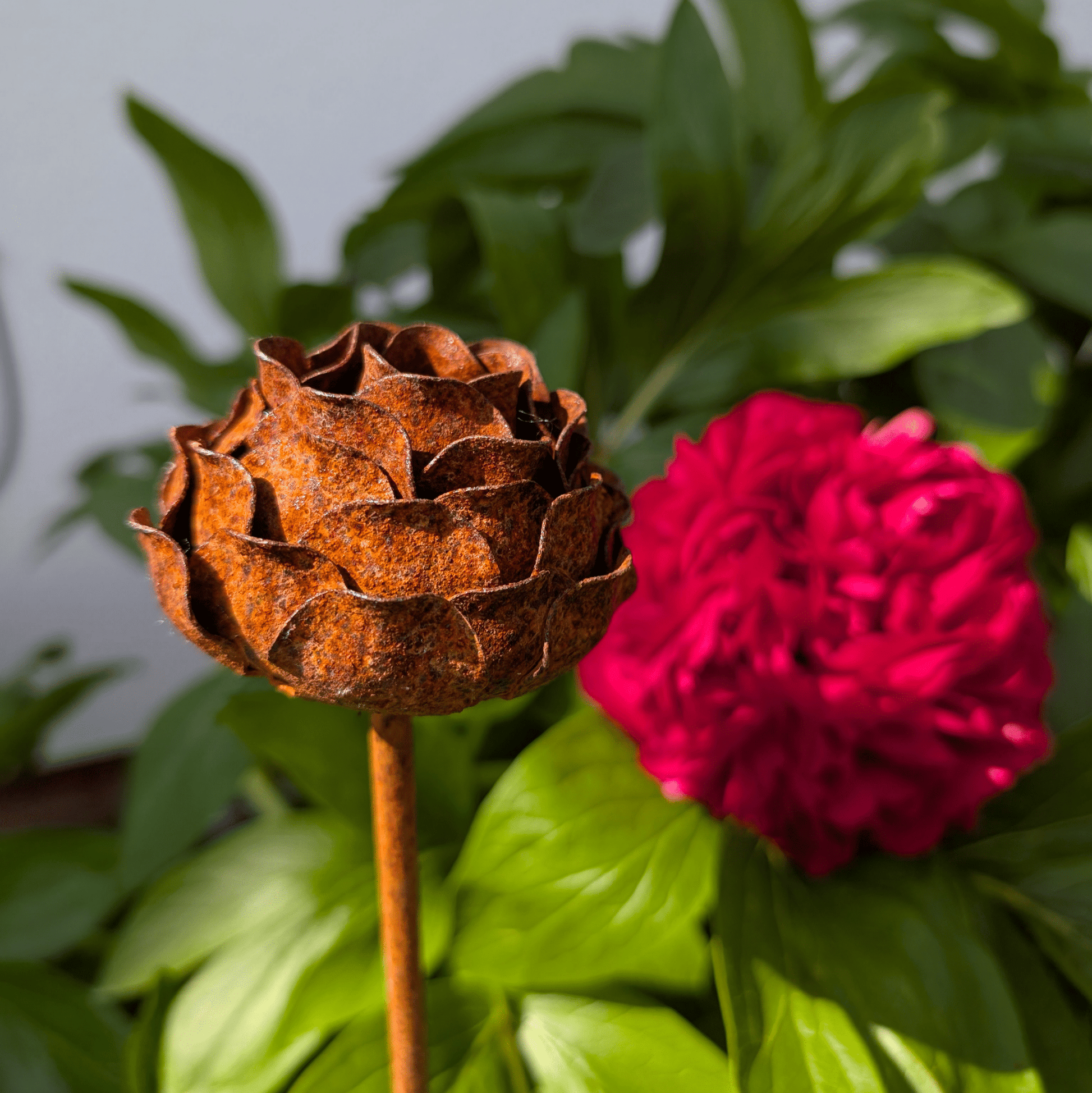 Handcrafted rusted metal peony garden stake with layered petals and sculptural charm, styled in a heritage-inspired UK garden as a timeless outdoor ornament