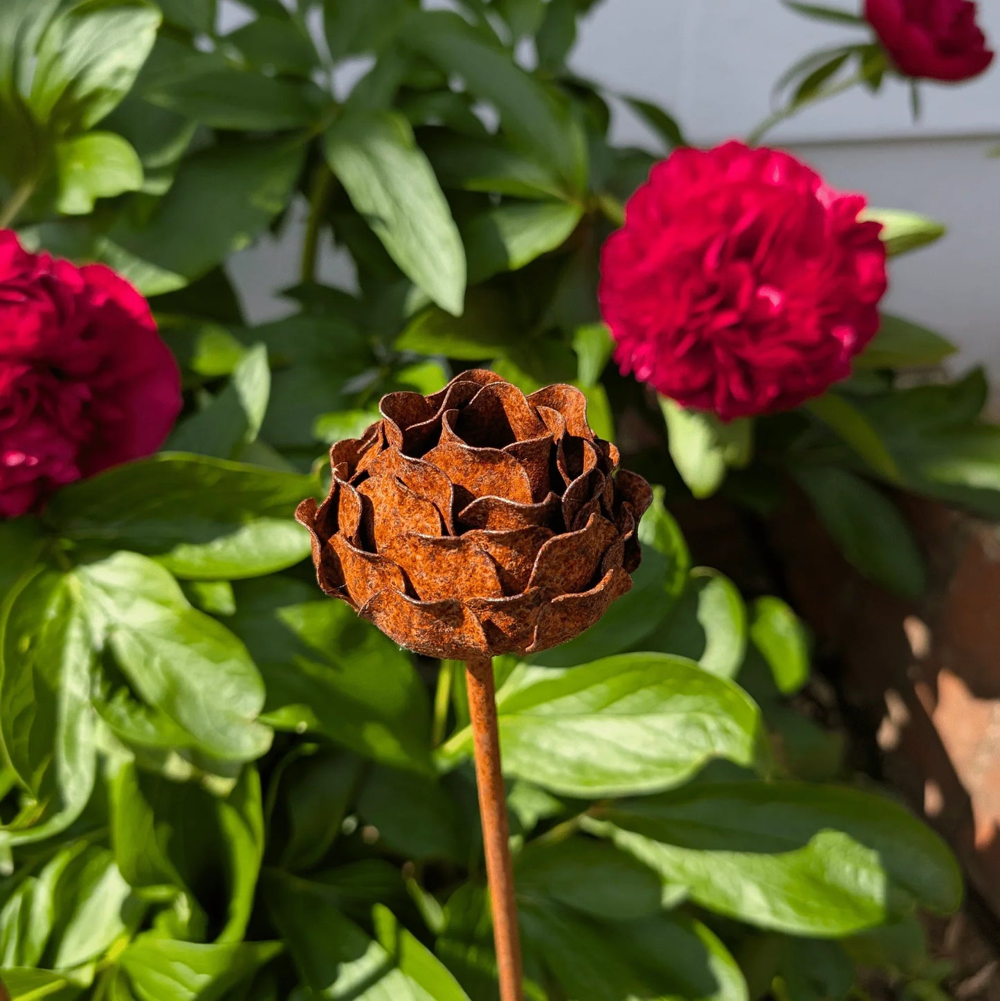 Rust-colored metal peony garden stake sculpture among green leaves and red flowers in sunlight