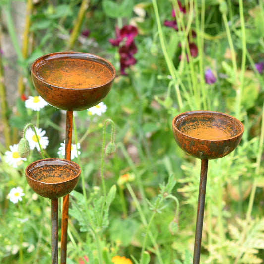 Rusty Rain Catchers Trio - Garden Stakes & Plant Supports