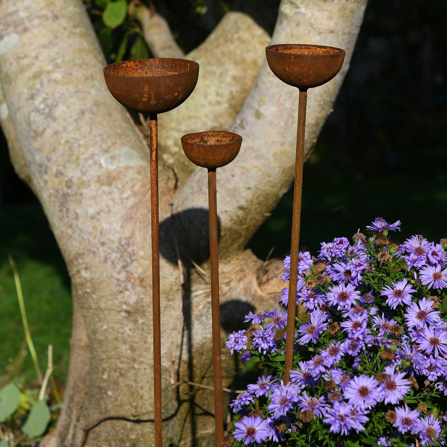 Three rustic metal garden stakes with shallow bowl tops, placed in a grassy lawn among soft wildflowers, designed as birdbaths and sculptural plant supports.