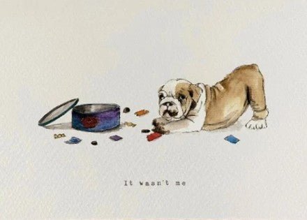Naughty Puppy – It Wasn’t Me Christmas Card - The Timeless Trading Co.