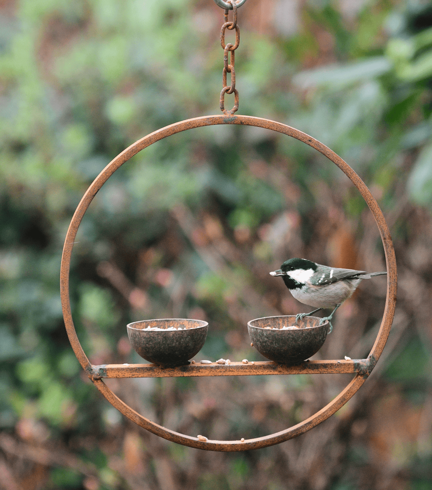 Rusted Hanging Bird Feeder Ring – Double Cup | Timeless Garden Charm - The Timeless Trading Co.