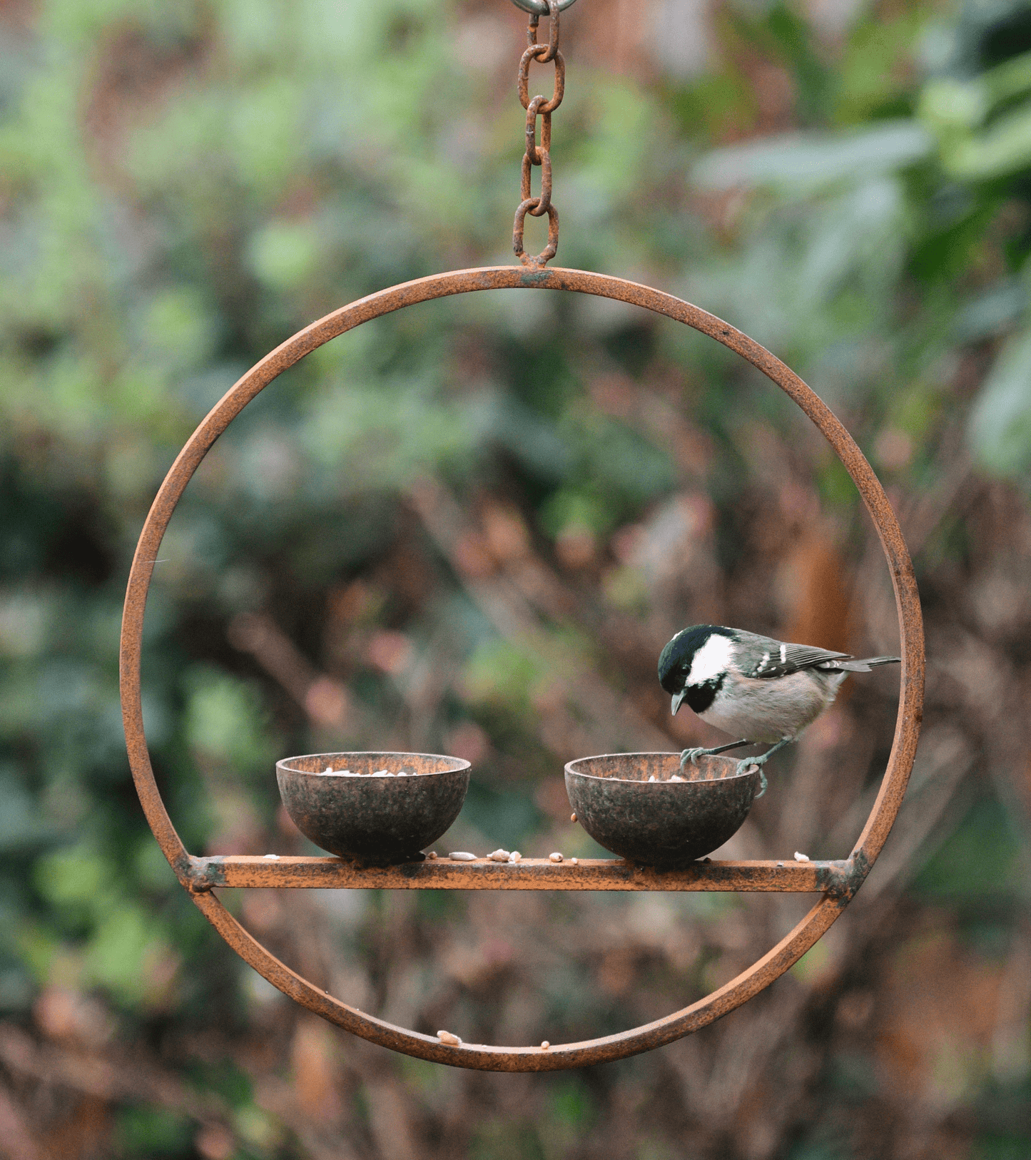 Rusted Hanging Bird Feeder Ring – Double Cup | Timeless Garden Charm - The Timeless Trading Co.