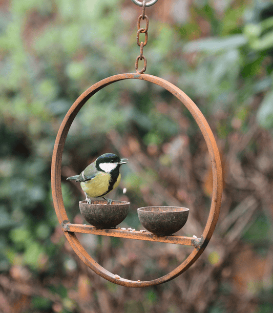 Rusted Hanging Bird Feeder Ring – Double Cup | Timeless Garden Charm - The Timeless Trading Co.