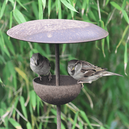 Rust-finished bird feeder stake with sculpted songbird silhouette, nestled among autumn foliage. A handcrafted garden accent celebrating wildlife and soulful outdoor living.