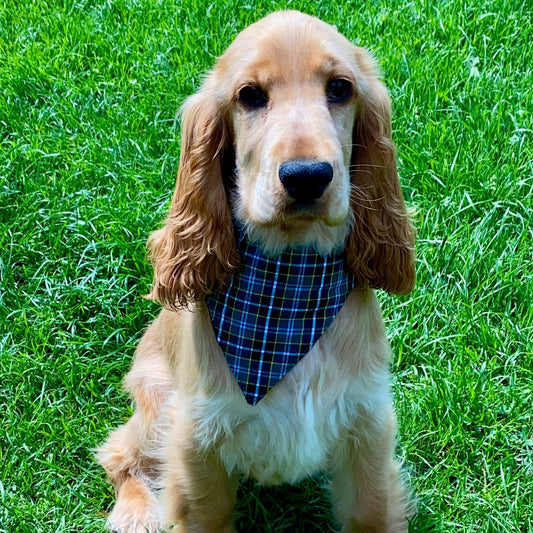 The Cornish Field Whimsy – Tartan Dog Bandana with Fleece Backing - The Timeless Trading Co.
