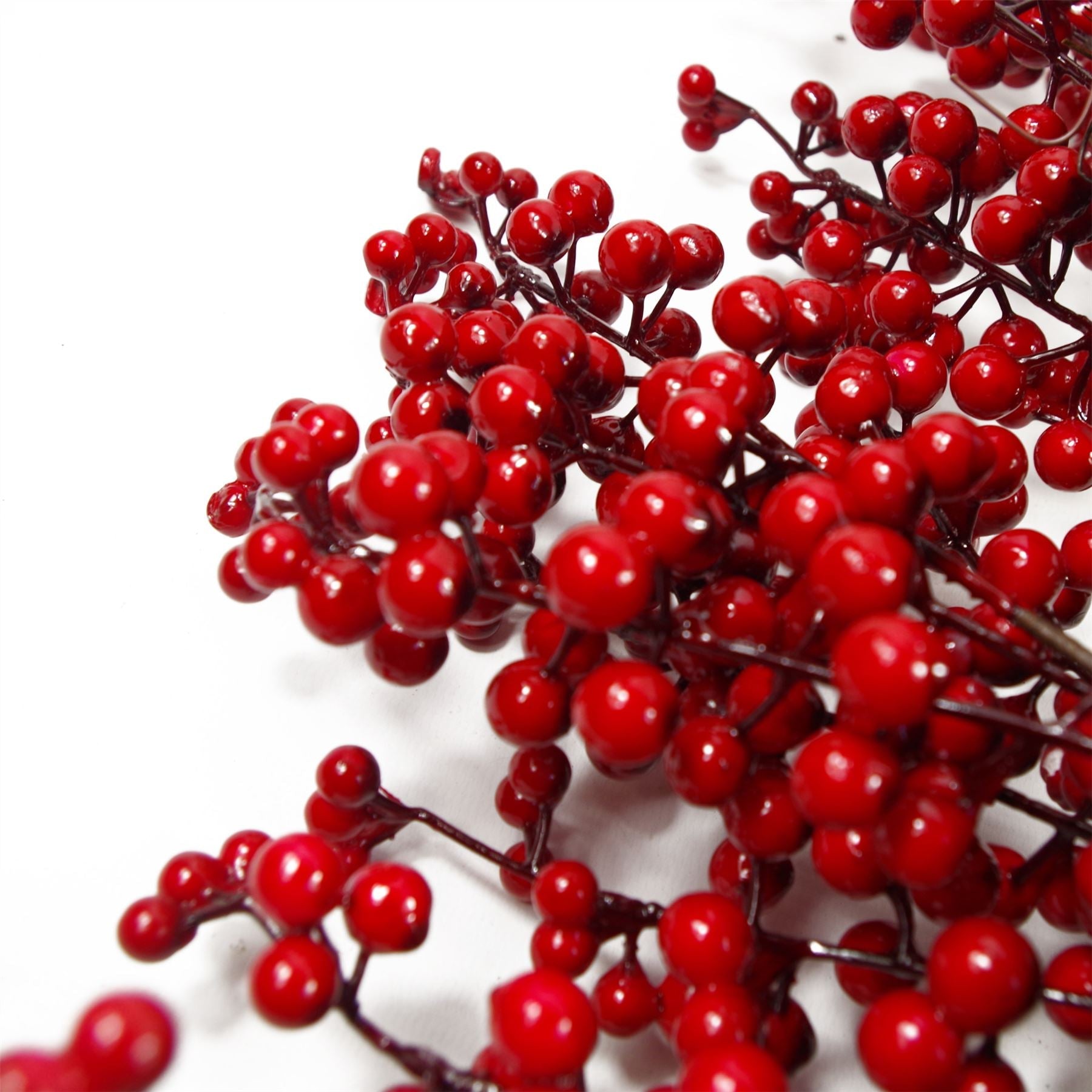 Close-up of red berries and green foliage on Christmas wreath in winter light