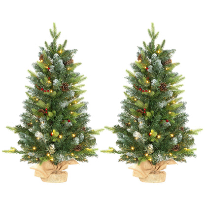 Set of two 3ft prelit artificial Christmas trees with warm white LED lights, red berries, and natural pinecones. Snow-brushed green branches in rustic style.