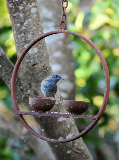 Rusted Hanging Bird Feeder Ring – Double Cup | Timeless Garden Charm - The Timeless Trading Co.