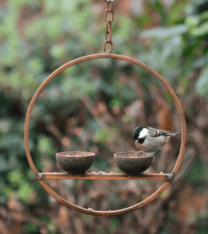 Rusted Hanging Bird Feeder Ring – Double Cup | Timeless Garden Charm - The Timeless Trading Co.