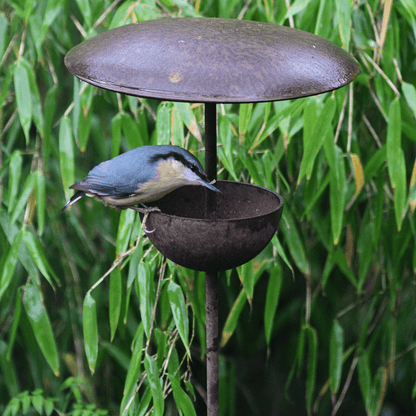 Bird perched on a metal bird feeder against a green leafy background