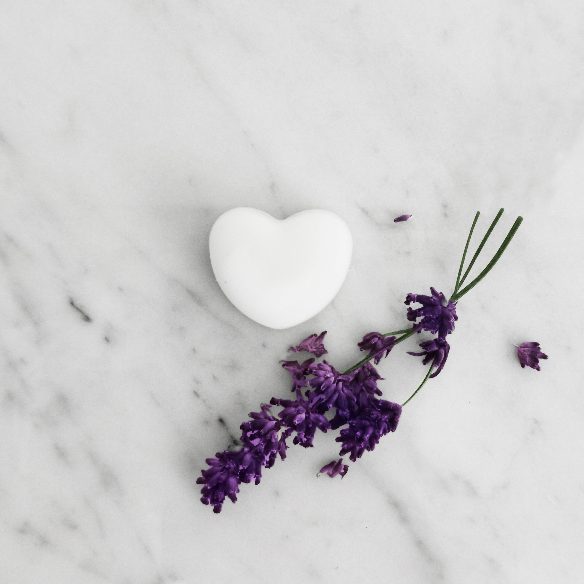 Single lavender ylang ylang wax melt displayed on table for festive aromatherapy gift
