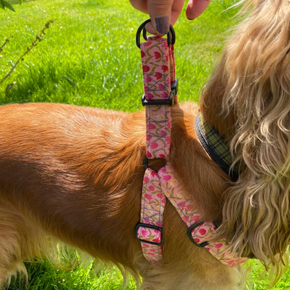 The Tulip Meadow Ramble – Collars, Leads & Harnesses for Whimsical Walks - The Timeless Trading Co.